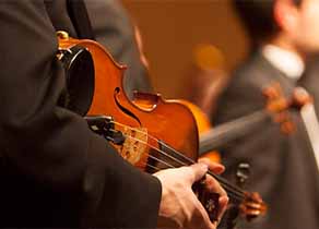 Violin Symphony Essemble