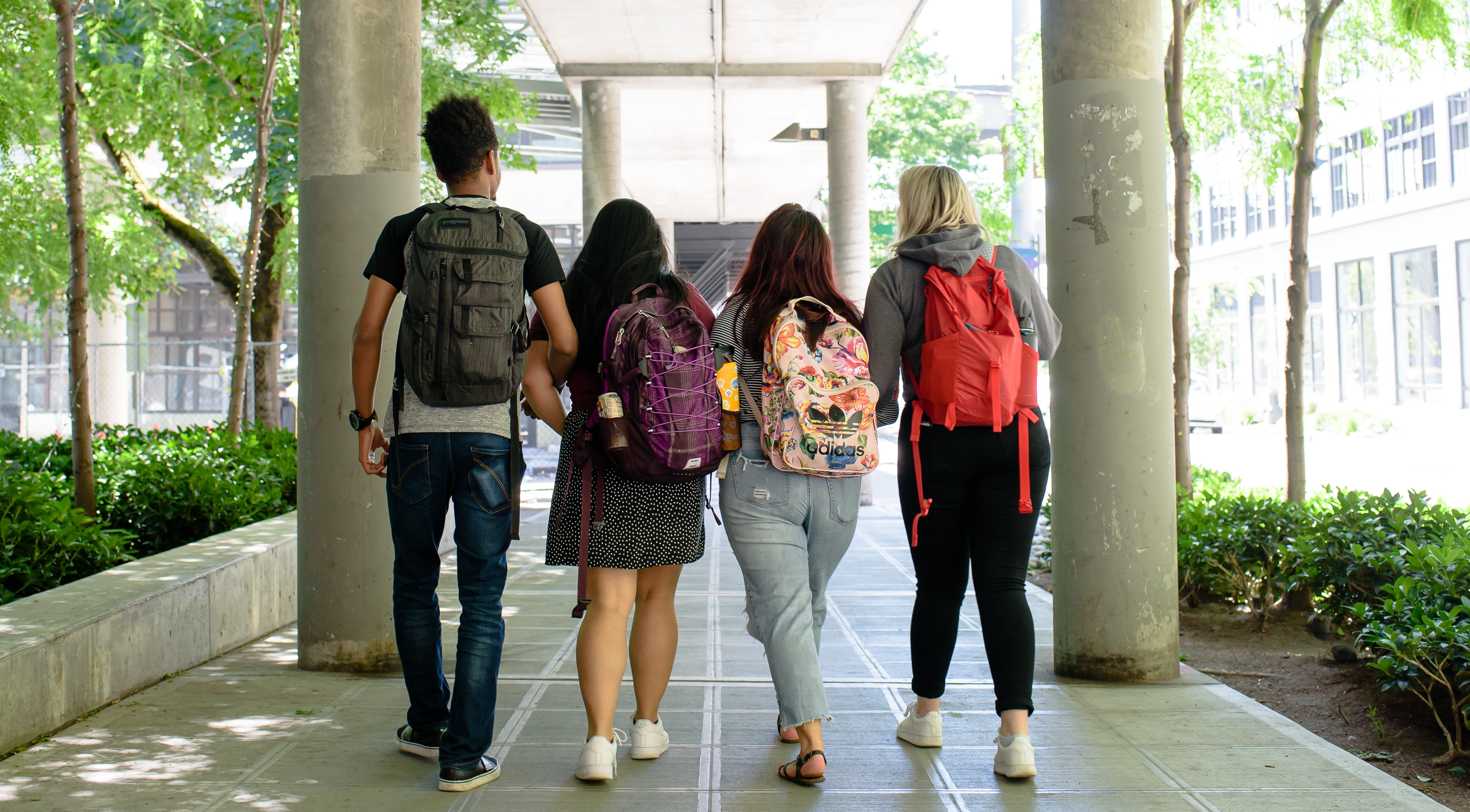 Four students walk down a covered sidewalk with their backs to the camera. 