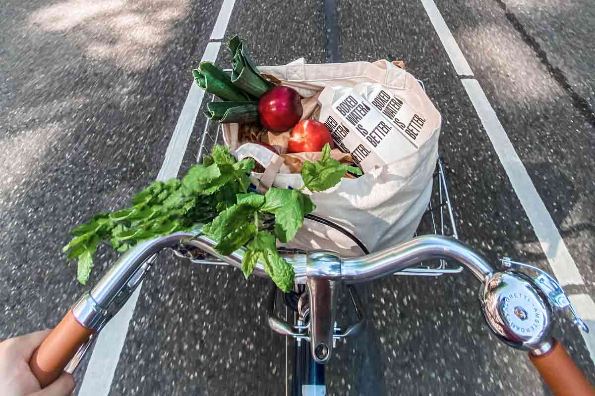 bike and groceries