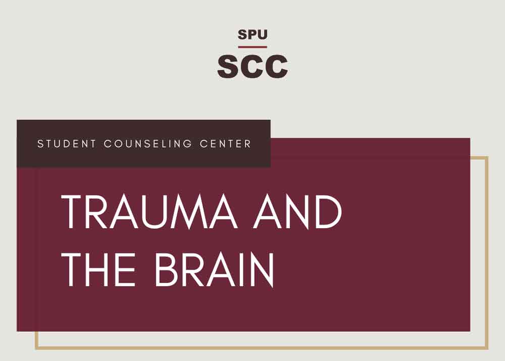 trauma and the brain