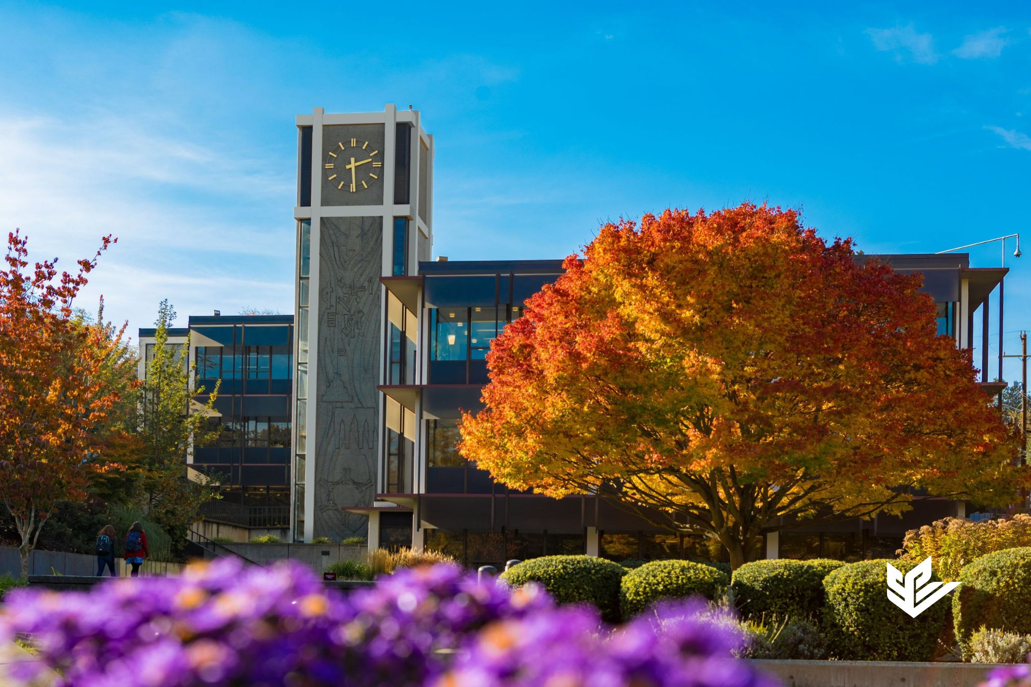 Demaray Hall at Seattle Pacific University during the Autumn Quarter, featuring the fall colors of the surrounding tree and flowers