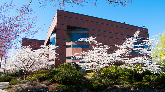 McKenna Hall on the Seattle Pacific University campus in spring with cherry blossoms in bloom.
