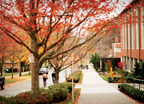 Campus Photo with Trees