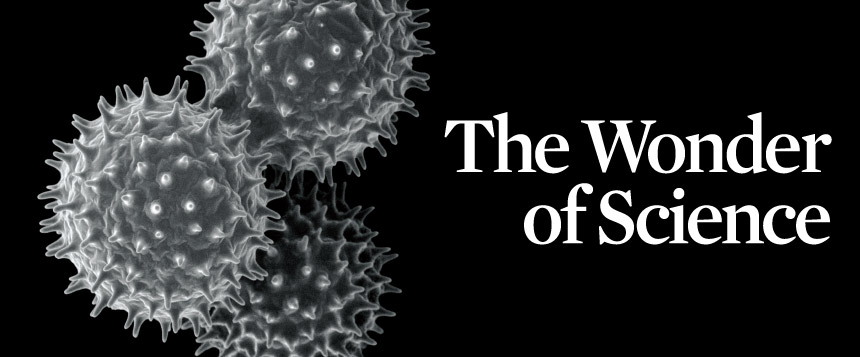 The Wonder of Science