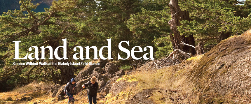 Land and Sea