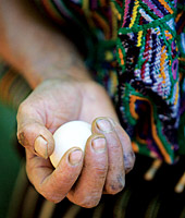 A woman holds an egg, a source of food and income for her family.