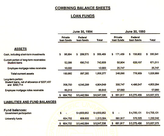 Graphic of Independent Auditor's Report Not Shown