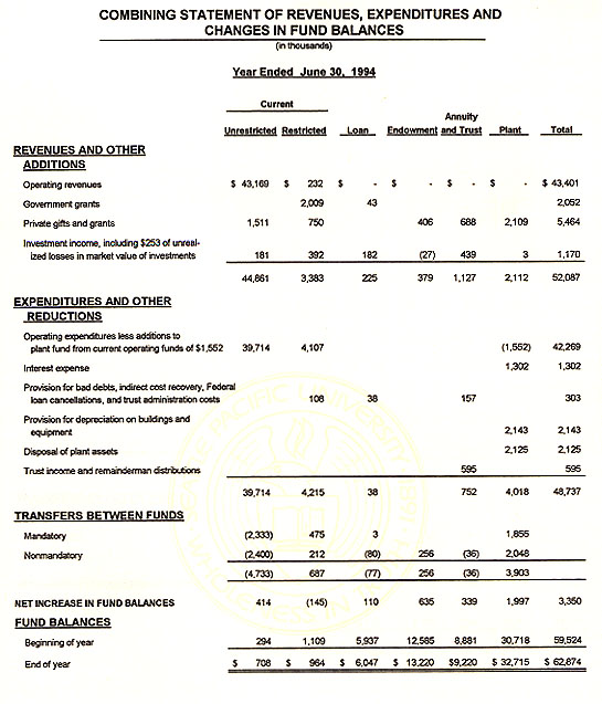 Graphic of Independent Auditor's Report Not Shown