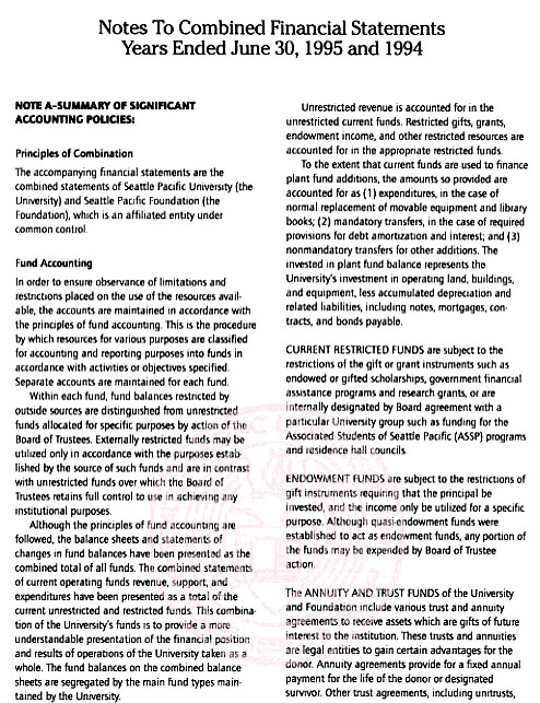 Graphic of Independent Auditor's Report Not Shown