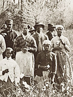 A Group of Cotton Pickers in Florida. Photo Credit: Okinawa Soba 