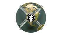 Conceptual Framework Logo