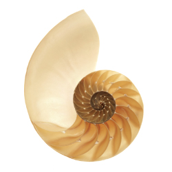 Thinking About the Infinite